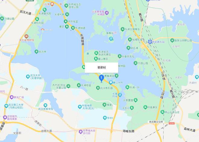 M6米乐APP，武汉市东湖景区一栋独栋大别墅拍卖被人捡漏4307688万买下